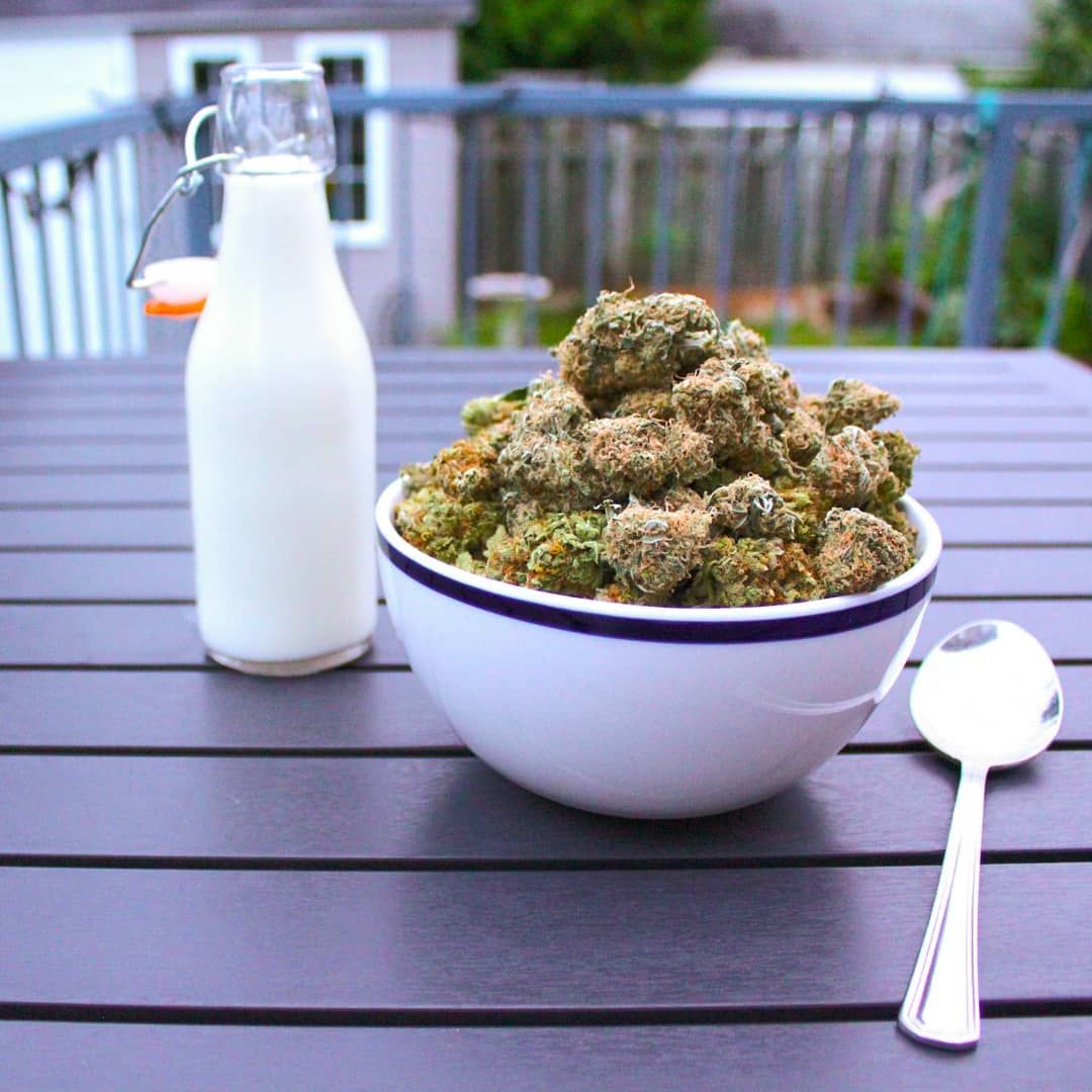Ricetta: latte alla cannabis