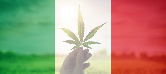 Vittoria per la Cannabis Light: il TAR del Lazio sospende il controverso decreto