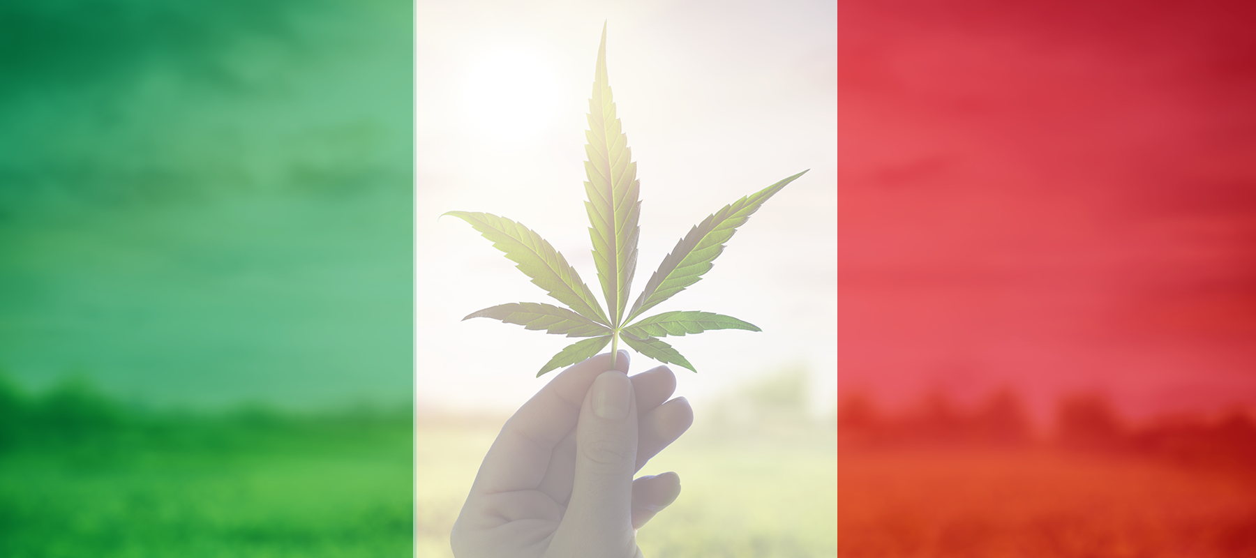 Vittoria per la Cannabis Light: il TAR del Lazio sospende decreto del Governo contro il CBD