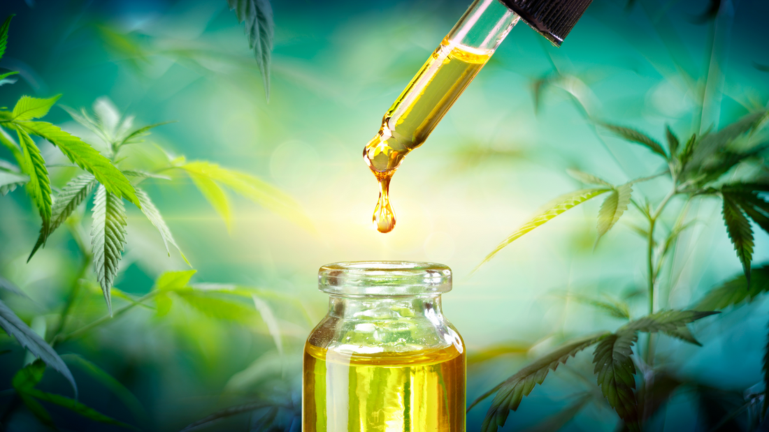 Qual’è il miglior modo per assumere cbd ? Come assumere l’olio di CBD