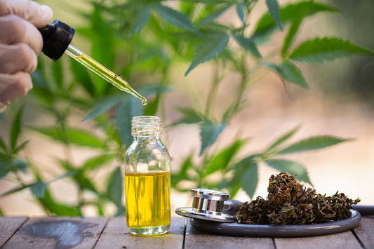 In che modo CBD e Olio CBD possono migliorare la tua vita