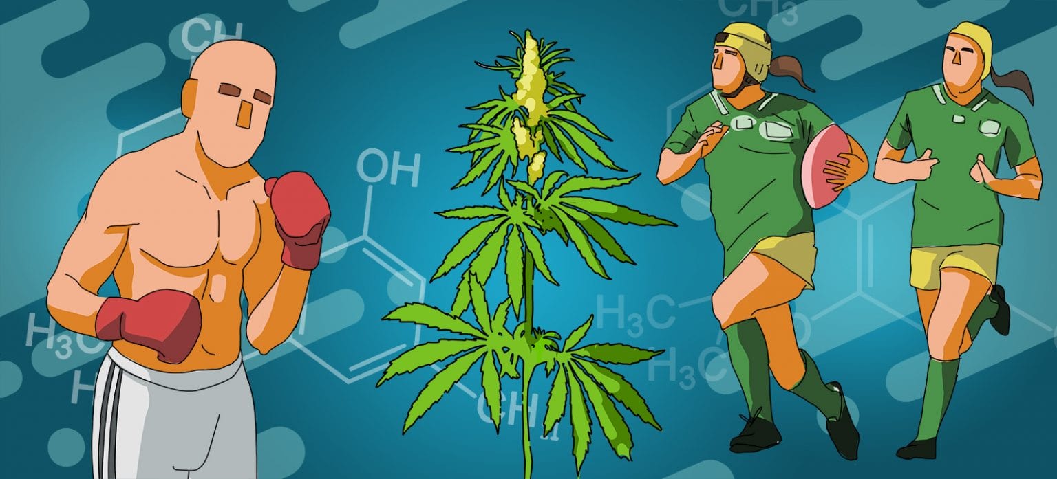 Cannabis e Sport: Gli Effetti del CBD e della Marijuana sulle Prestazioni