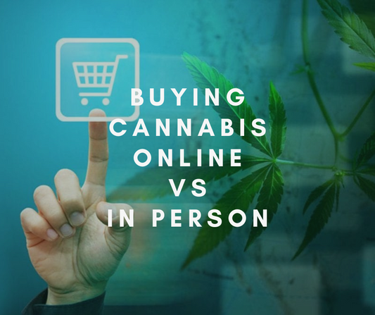 L'esperienza di acquisto di cannabis online o di persona