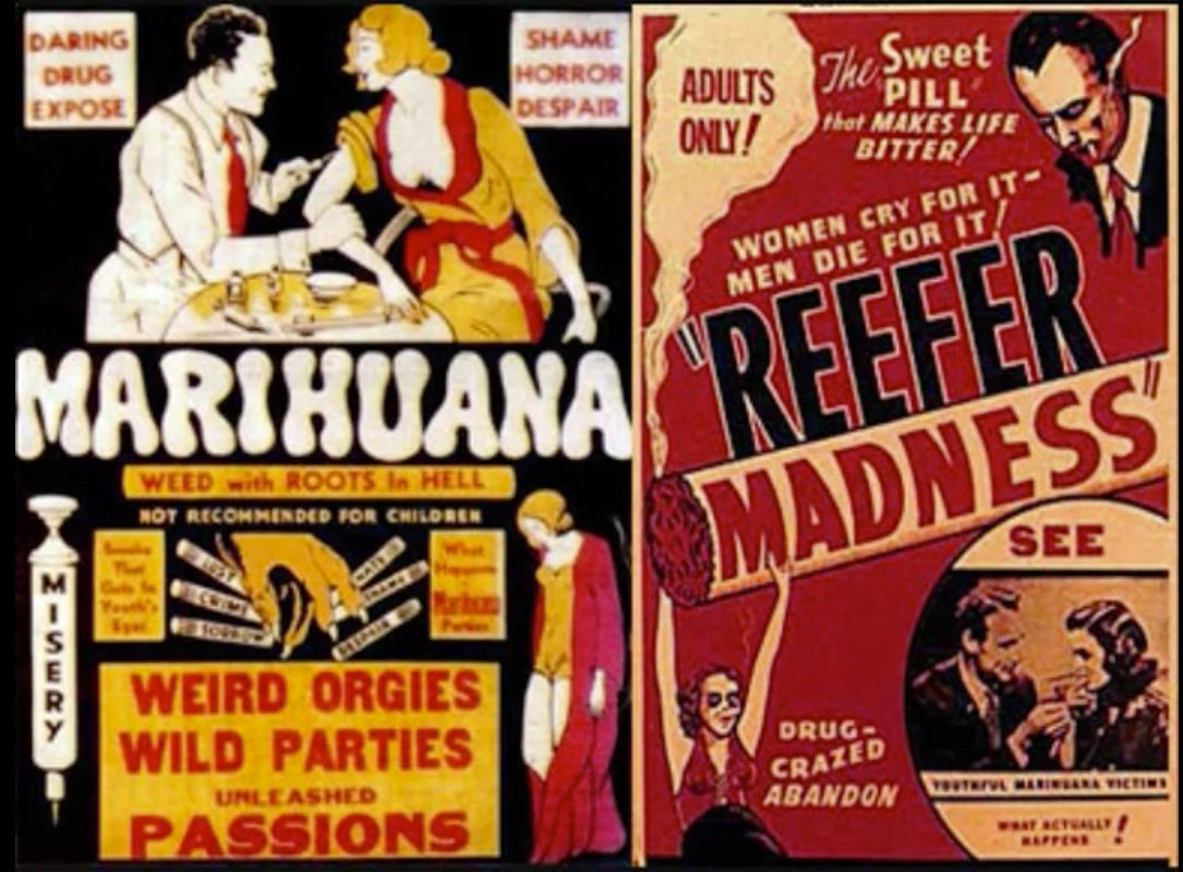 La marijuana non avrebbe mai dovuto essere illegale