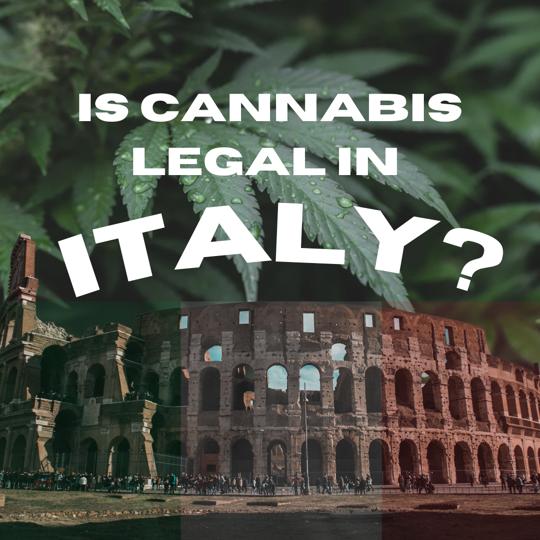 I prodotti a base di cannabis sono legali in Italia?