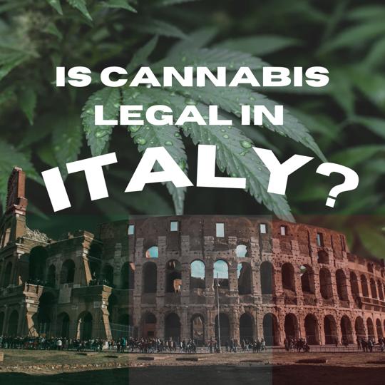 Cannabis Light Italia: Shop Online per Canapa e CBD, Erba legale per Tutti