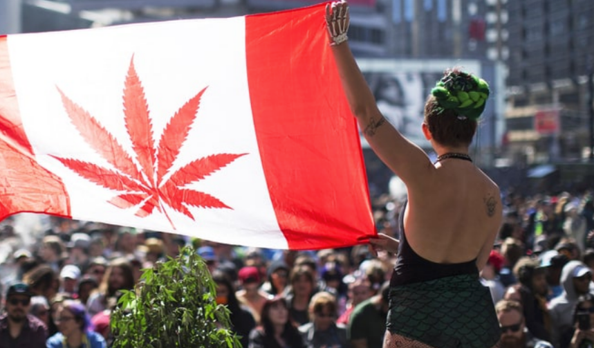 Il parlamento Canadese ha approvato la legalizzazione della Cannabis a uso ricreativo. Inizia la Rivoluzione