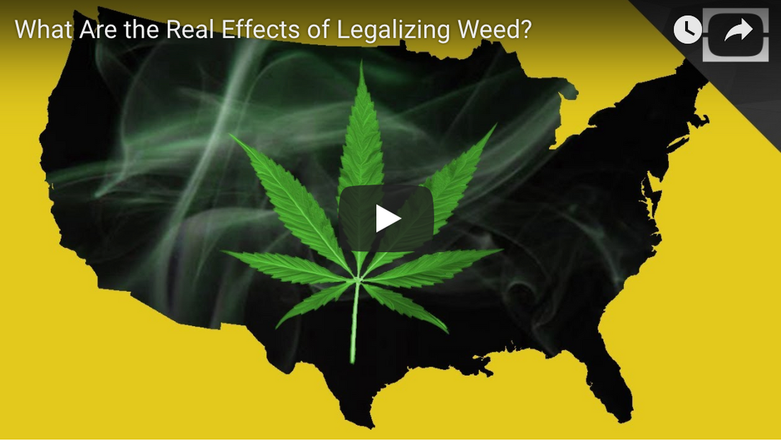 Cosa possiamo imparare sulla legalizzazione dagli Stati Uniti?