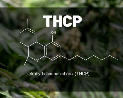 THCP: Un Nuovo Cannabinoide da Scoprire, 30 volte più efficace del THC