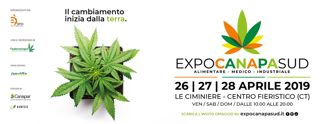 Expo Canapa Sud 2019: la fiera cannabica della Sicilia sta per tornare!