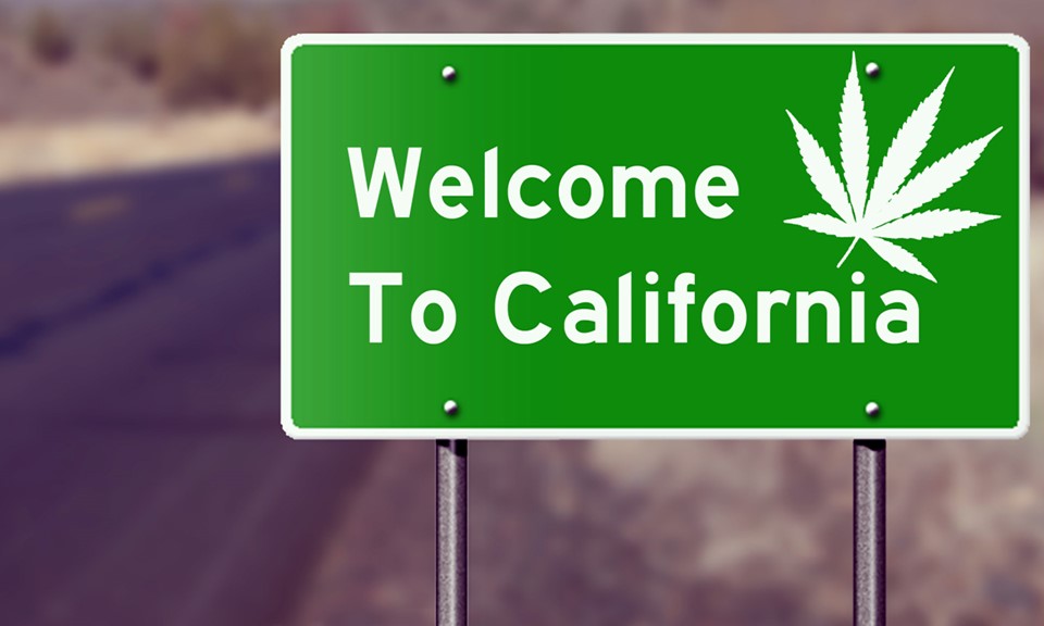 Marijuana legale in California: la Cannabis è legale!
