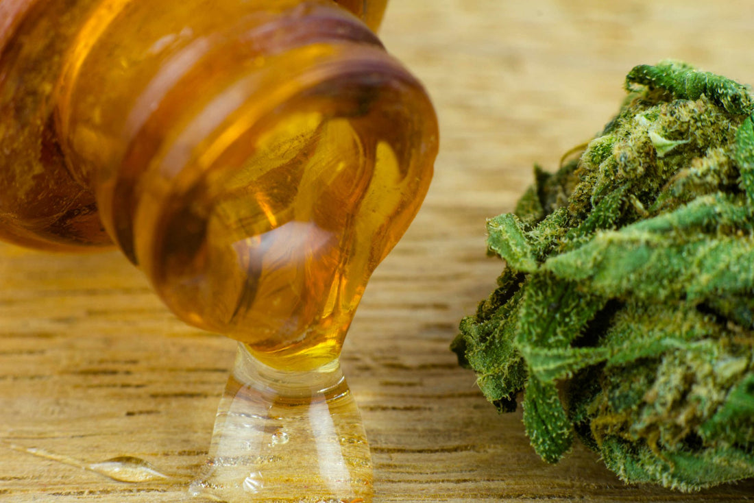 Il miele di Cannabis è un superfood che tutti dovremmo mangiare