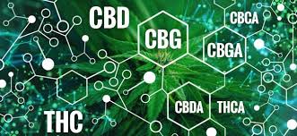 Cos'è il CBG? Scopri il cannabinoide del futuro (prossimo)