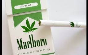 Marlboro invierte en el gigante del cannabis Cronos Group, con sede en ...