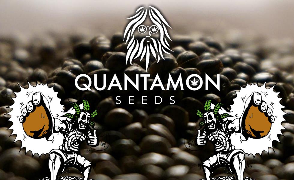 Quantamon Seeds: la passione per la ricerca delle migliori genetiche come resistenza italiana