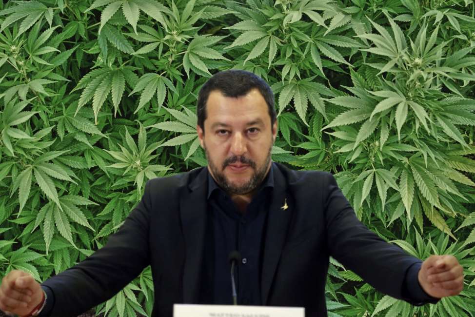 Salvini: "Chiuderemo tutti i negozi di Cannabis e le feste di settore." Di tutta un'ERBA un FASCIO.