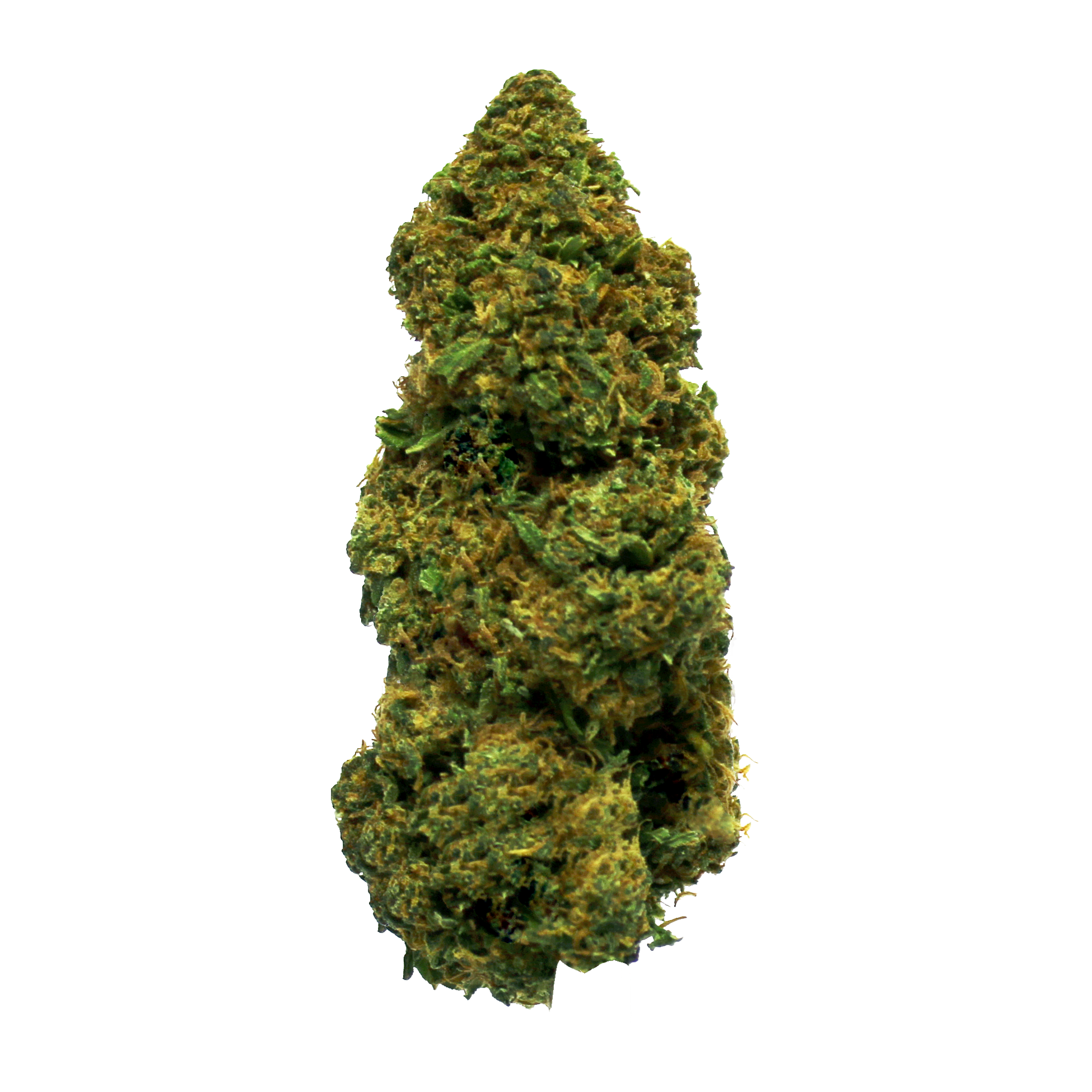 Amnesia Haze - Blütenstände von Cannabis Light
| THC < 0.2% CBD > 25%