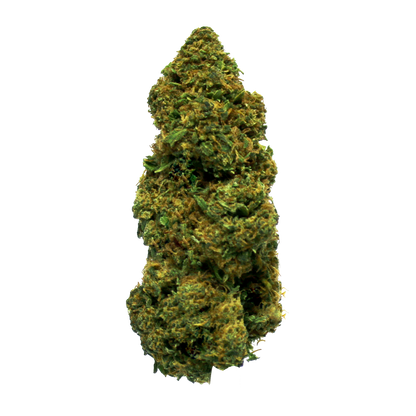 Amnesia Haze - Light Cannabis Inflorescences
 | THC < 0.2% CBD > 25%