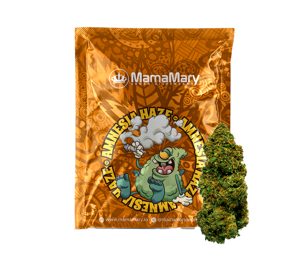 Amnesia Haze - Blütenstände von Cannabis Light
| THC < 0.2% CBD > 25%