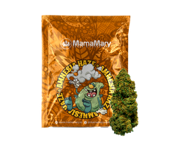 Amnesia Haze - Infiorescenze di Cannabis Light
| THC < 0.2% CBD > 25%