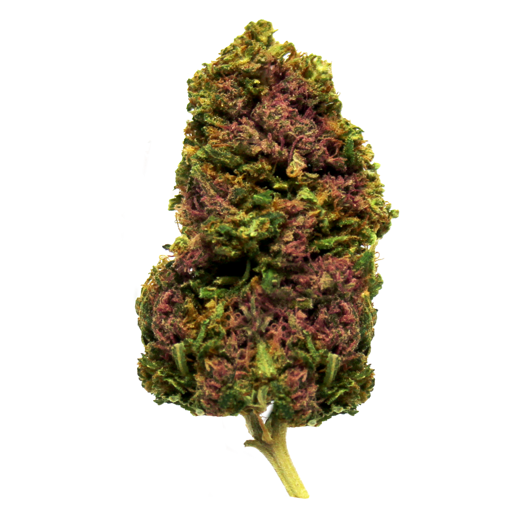 Gelato - Cup Winner -  Premium Cannabis Flowers