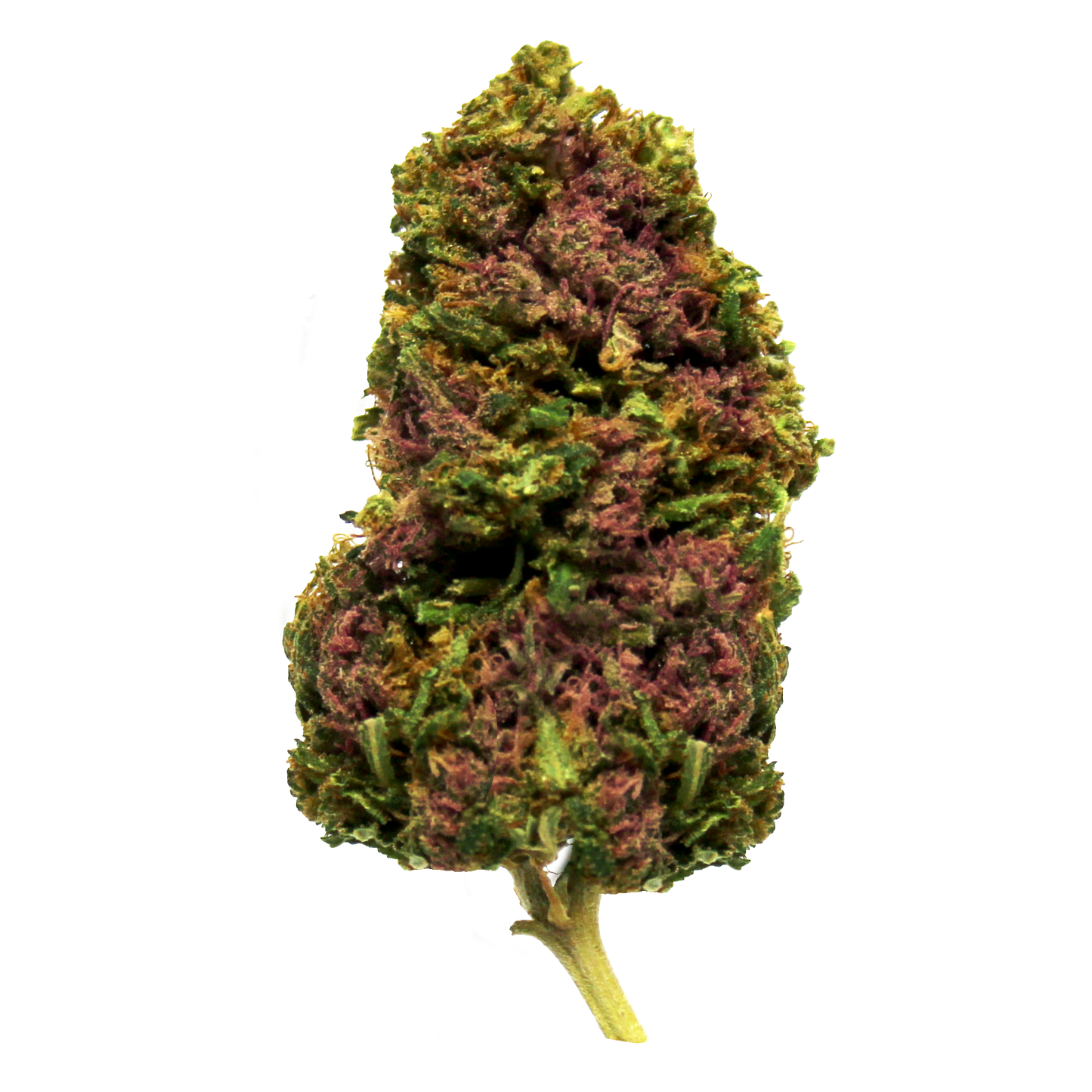 CBD Ice Cream - Legal Weed - Cannabis Light - Hemp Light
 | CBD >25% THC < 0.2%