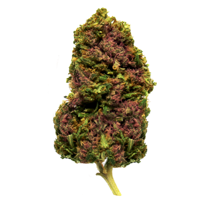 CBD Ice Cream - Legal Weed - Cannabis Light - Hemp Light
 | CBD >25% THC < 0.2%