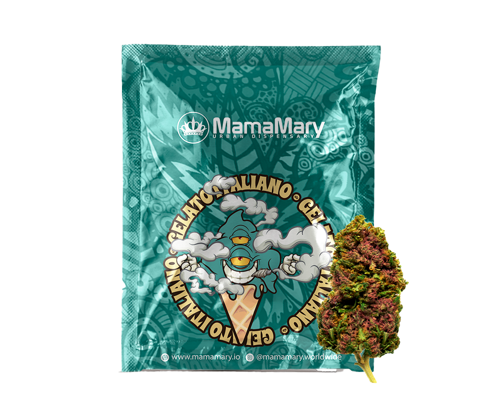MamaMary Best Cannabis Dispensary in Malta shipping to EU & UK az mamamary MamaMary Best Cannabis Dispensary in Malta shipping to EU & UK az mamamary