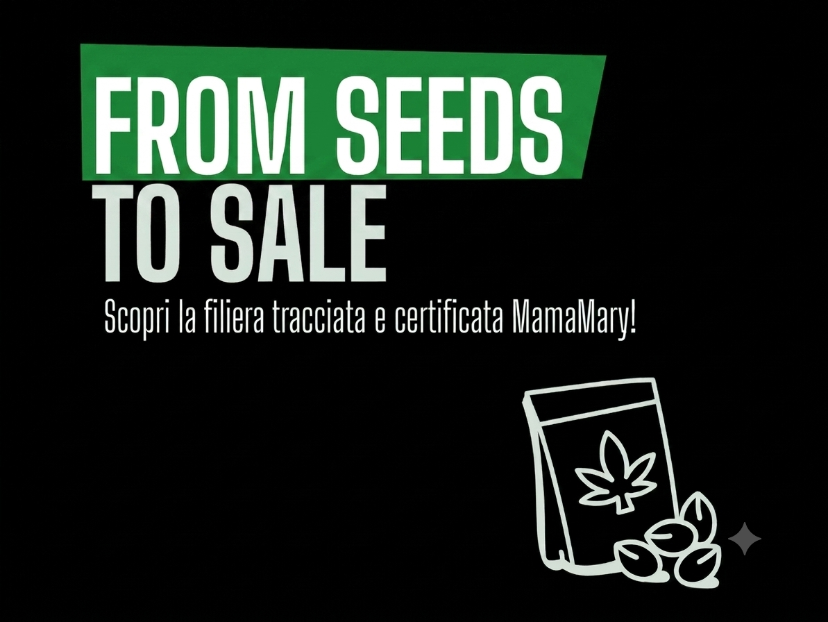 From Seed to Sale
