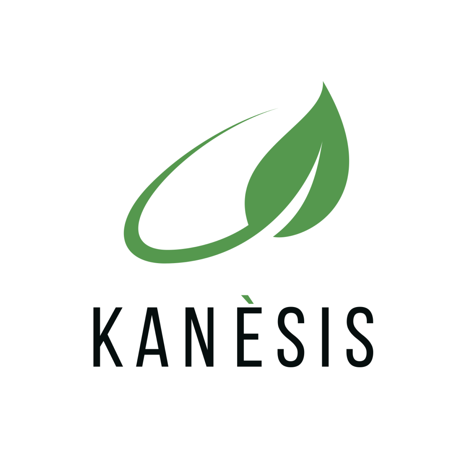 Kenesis logo
