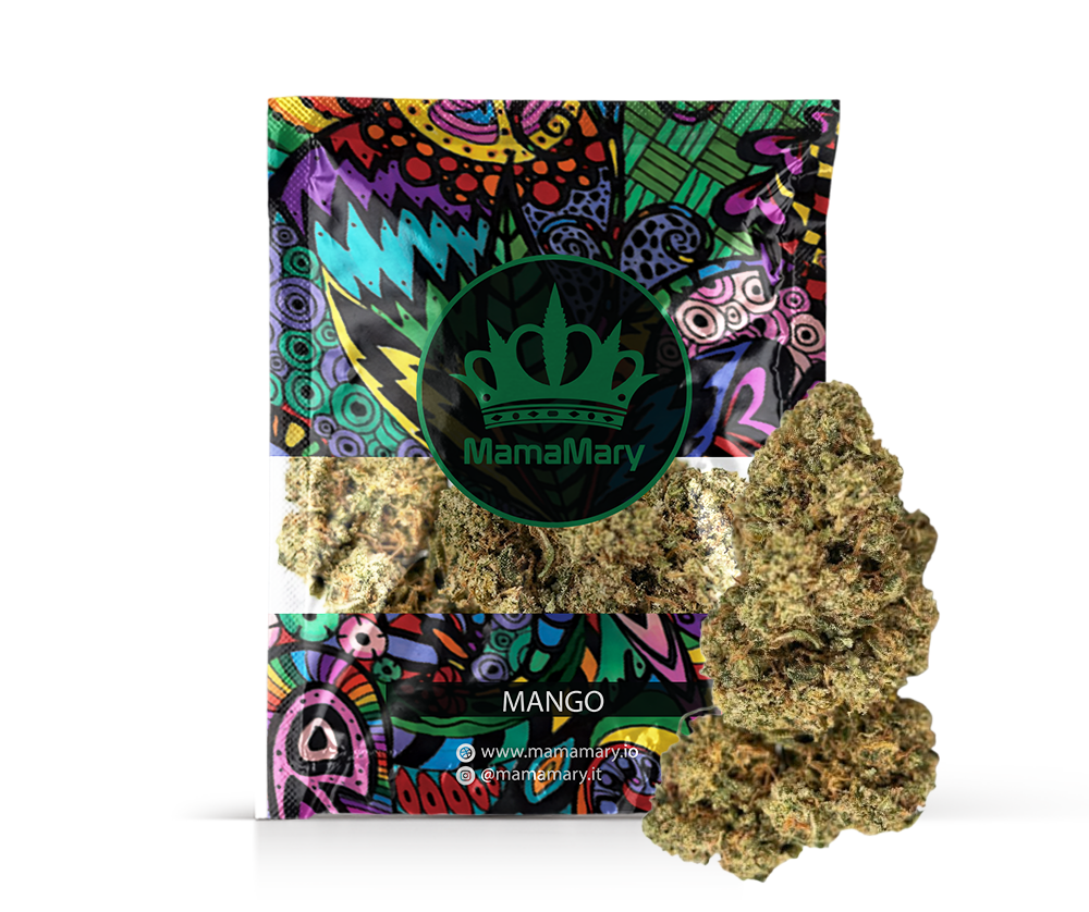 Mango: Premium Erba Flower – Tropical Sweet Aroma, Indica Relaxation Bliss