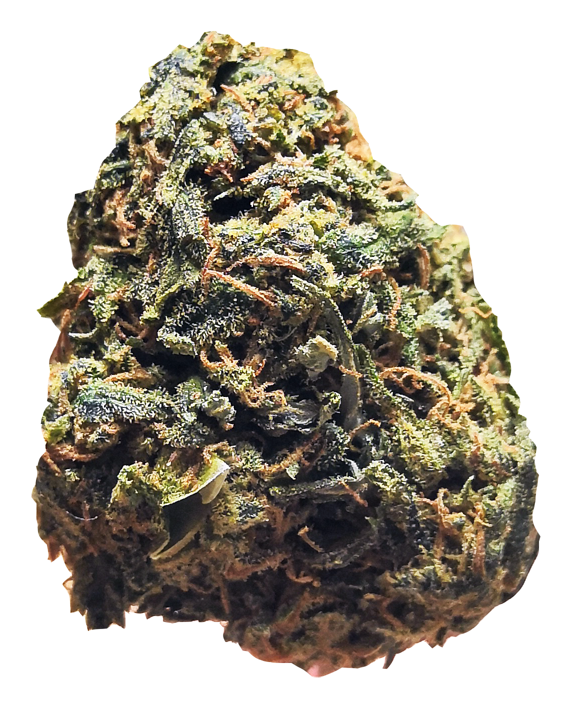 OG Kush - Cannabis Light | THC < 0.2% CBD > 25%