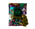 Strawberry OG - Marijuana Sativa