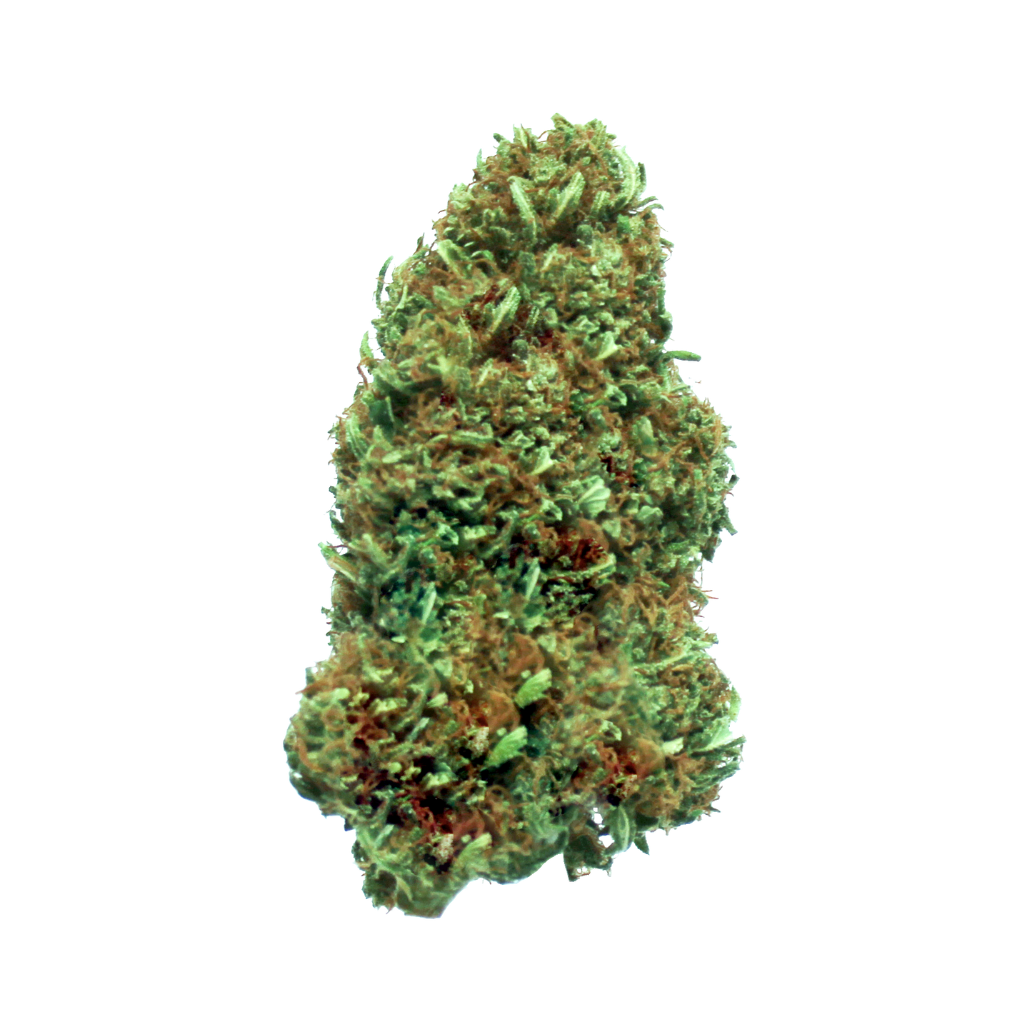 Super Skunk - Cannabis Light | THC < 0.2% CBD > 25%