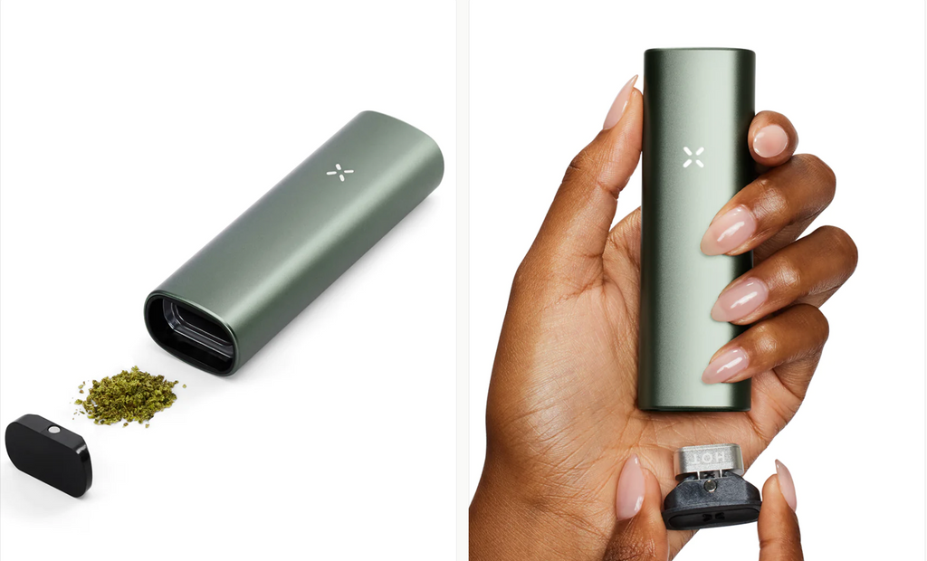 PAX Plus (DRY HERB + CONCENTRATE)