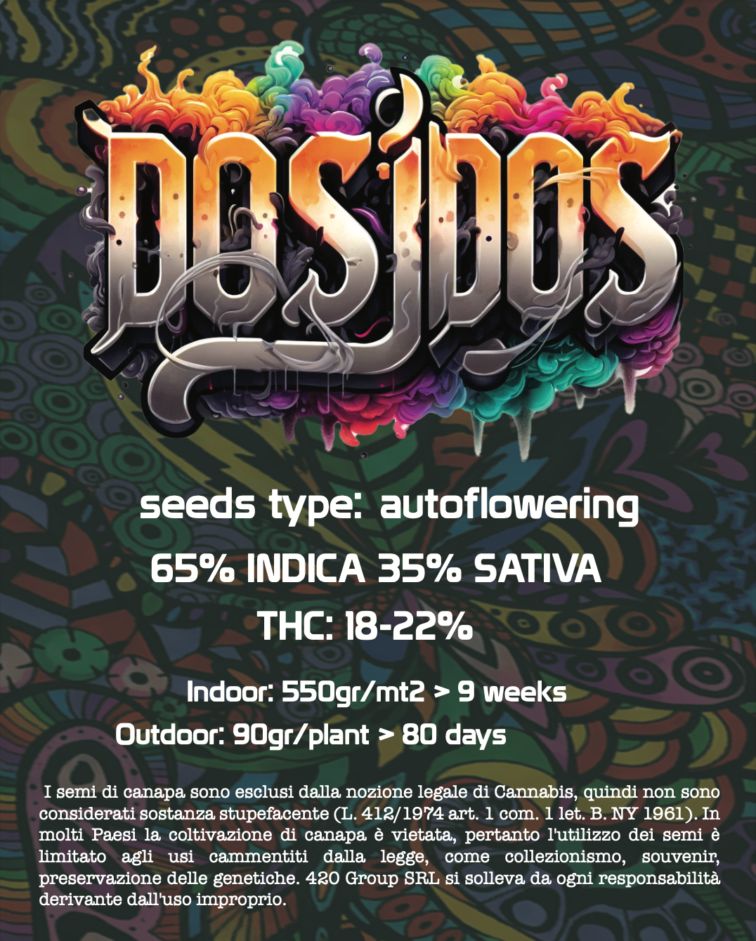Do-Si-Dos Semi Di Cannabis - THC Auto Seeds Do Si Dos - THC 18-22% - MamaMary