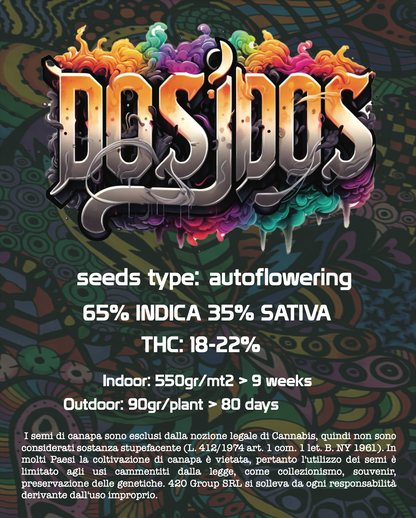 Do-Si-Dos Semi Di Cannabis - THC Auto Seeds Do Si Dos - THC 18-22% - MamaMary