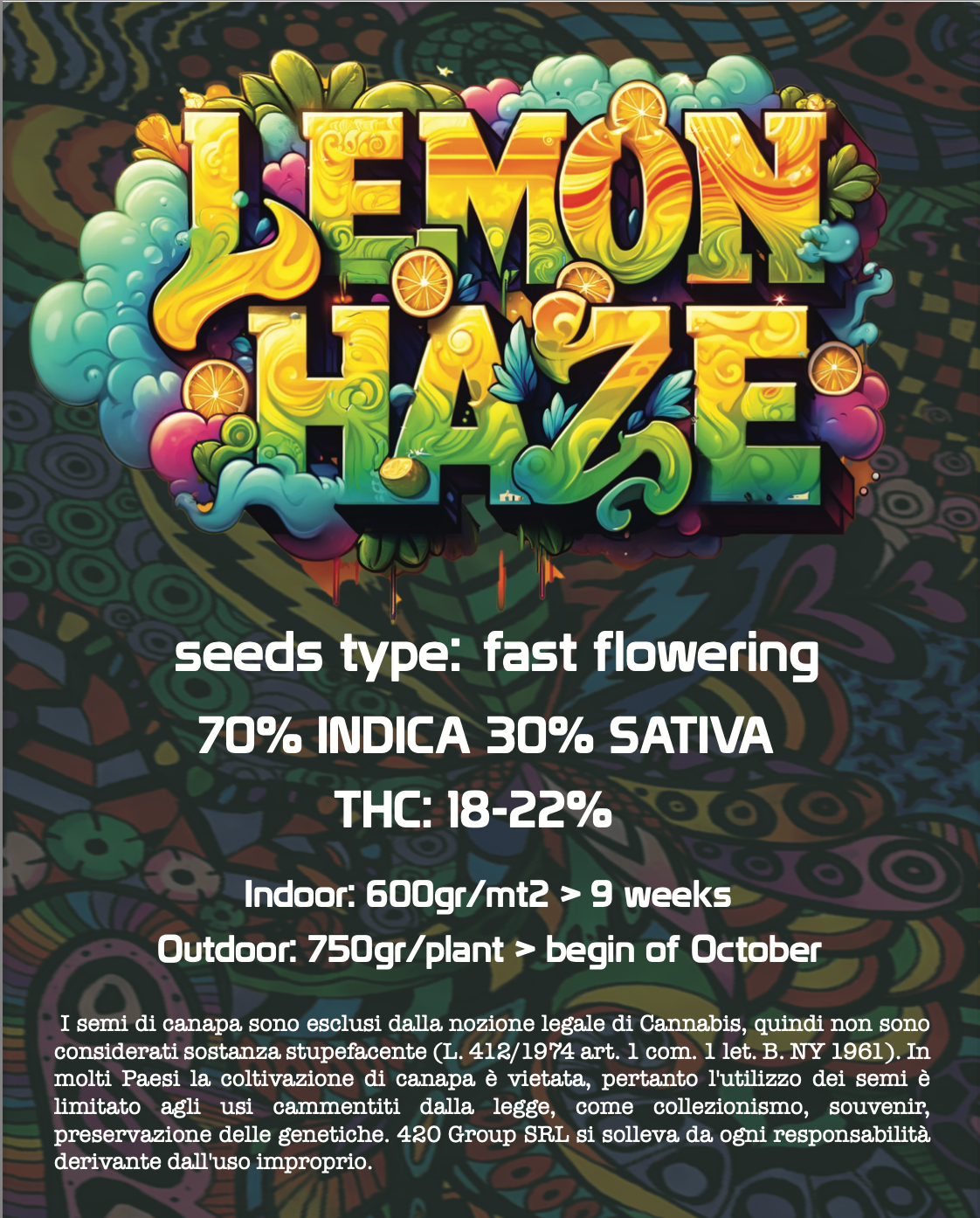 Lemon Haze Semi Di Cannabis Femminizzati THC Fast Seeds | THC 18-22% - MamaMary