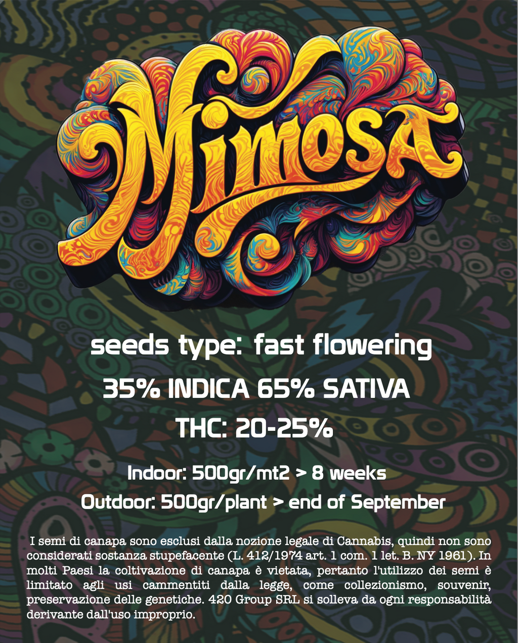 Mimosa EVO Semi di Cannabis Femminizzati THC Fast Seeds | THC 20-25% Semi Cannabis Femminizzati Ready to Grow - MamaMary
