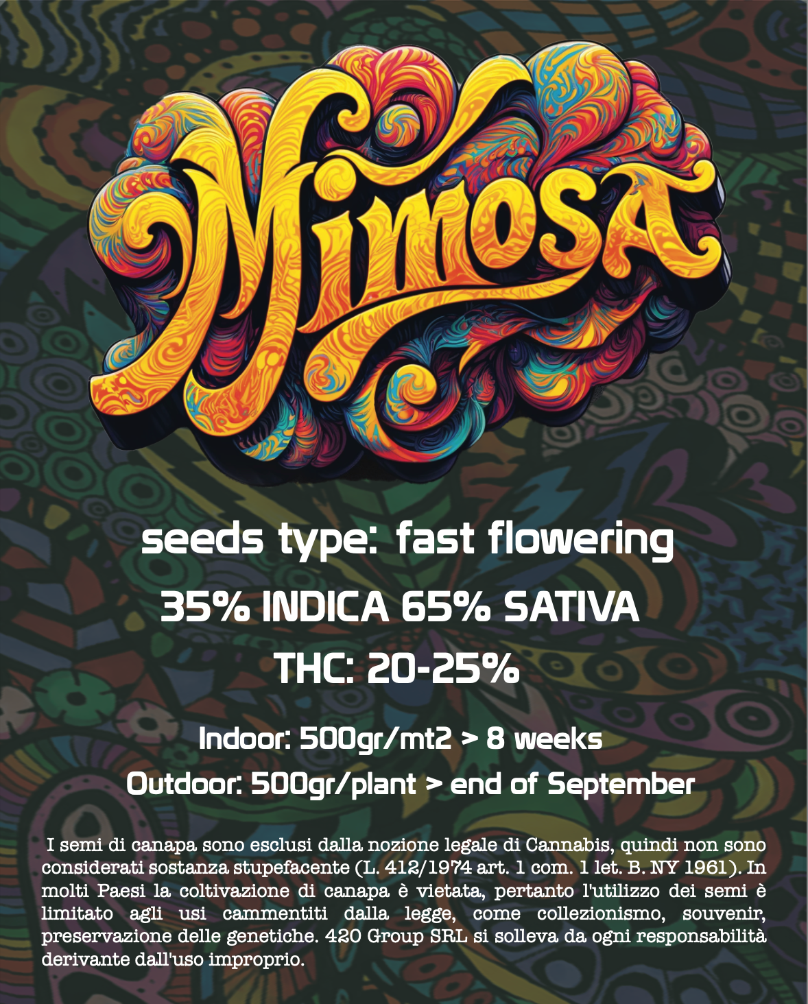 Mimosa EVO Semi di Cannabis Femminizzati THC Fast Seeds | THC 20-25% Semi Cannabis Femminizzati Ready to Grow - MamaMary