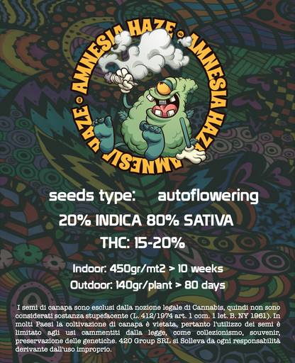 Amnesia Haze Semi di Cannabis Femminizzati THC Auto Seeds | THC 15-20% - MamaMary
