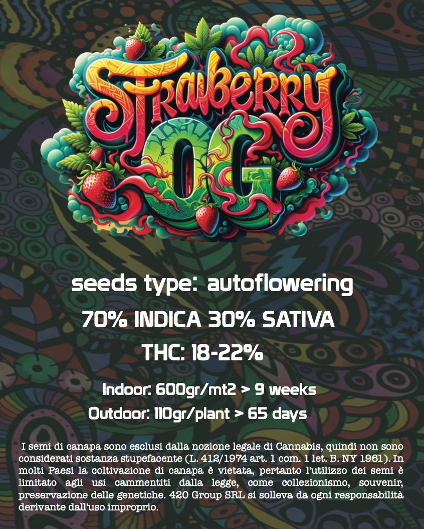 Strawberry OG Semi di Cannabis THC Fem Auto Seeds | THC 18-22% - MamaMary