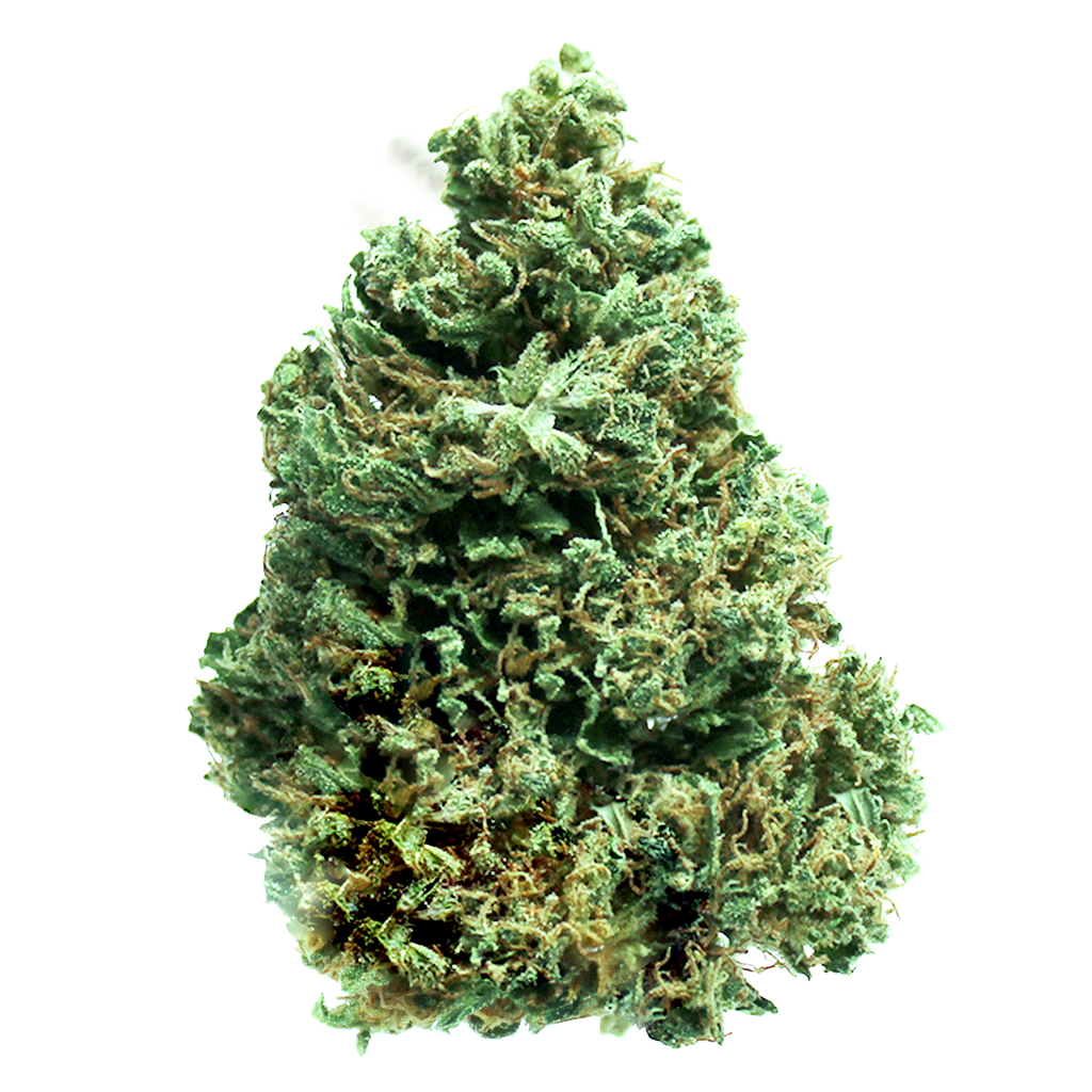 White Widow Original Strain Made in Amsterdam