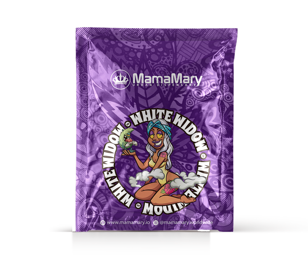White Widow Original Strain Made in Amsterdam