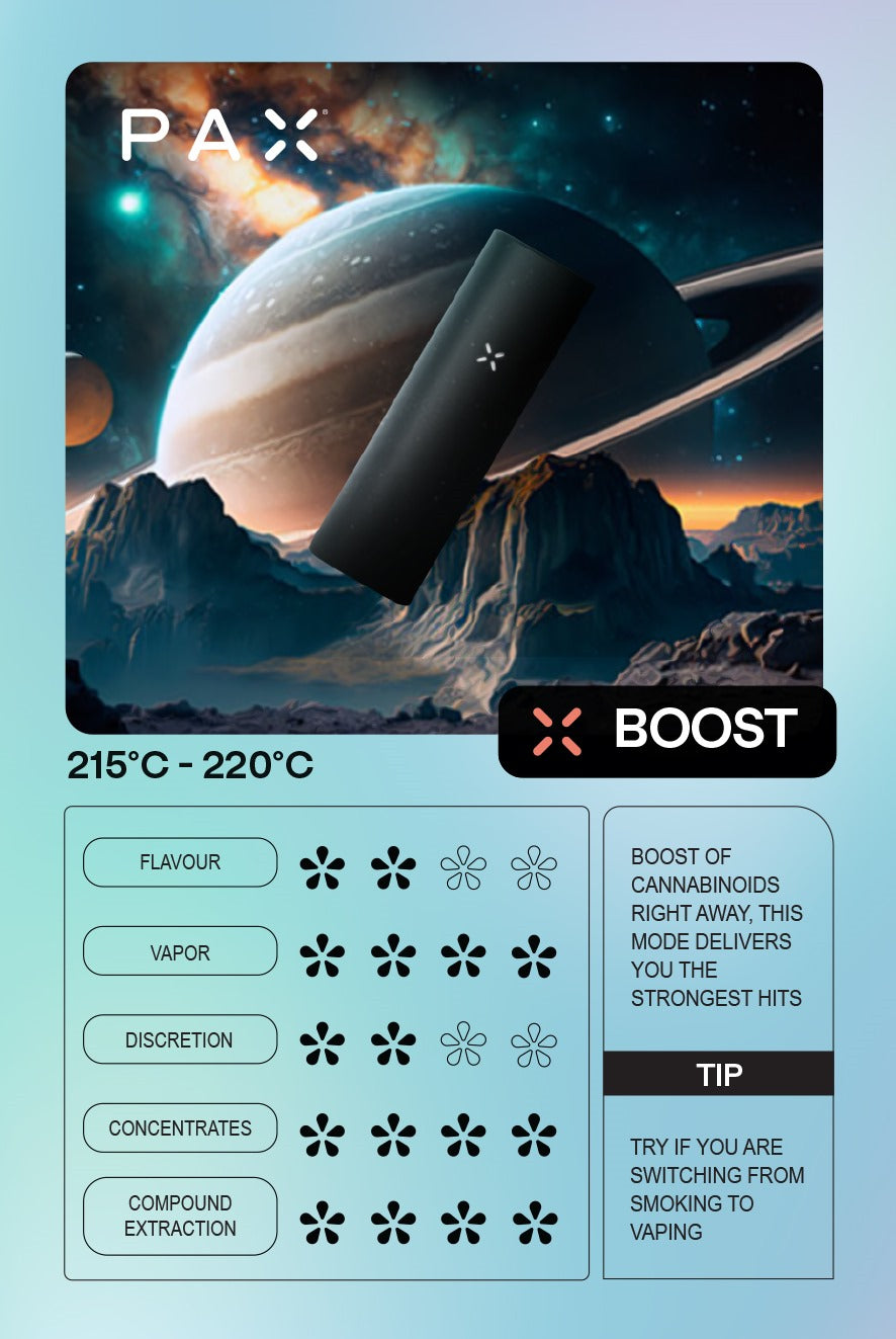 PAX MINI Vaporizzatore Portatile - Vaporizzatori per Erbe Secche
