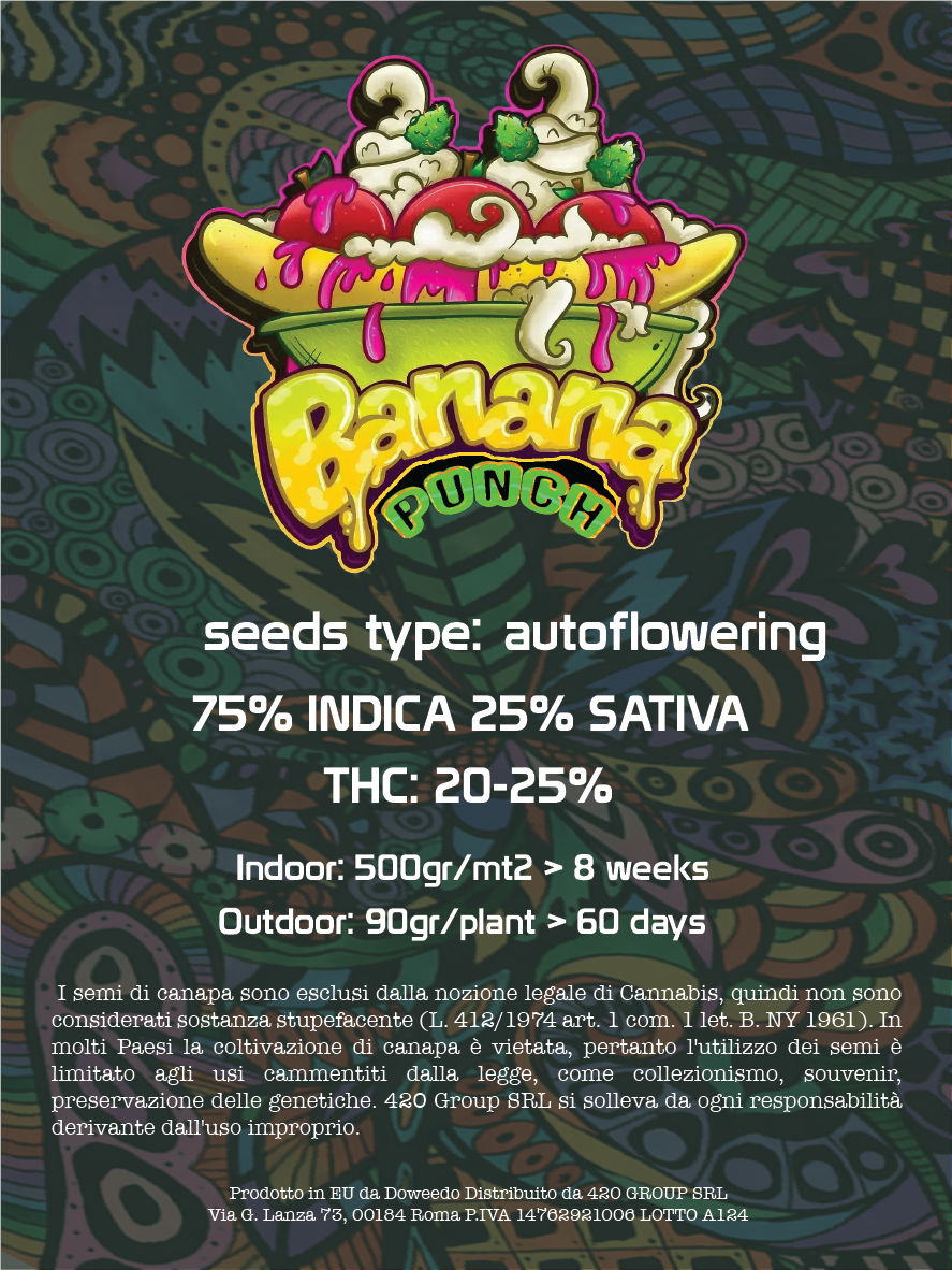 Banana Punch Feminisierte Cannabissamen THC Auto Samen | THC 20-25% - MamaMary