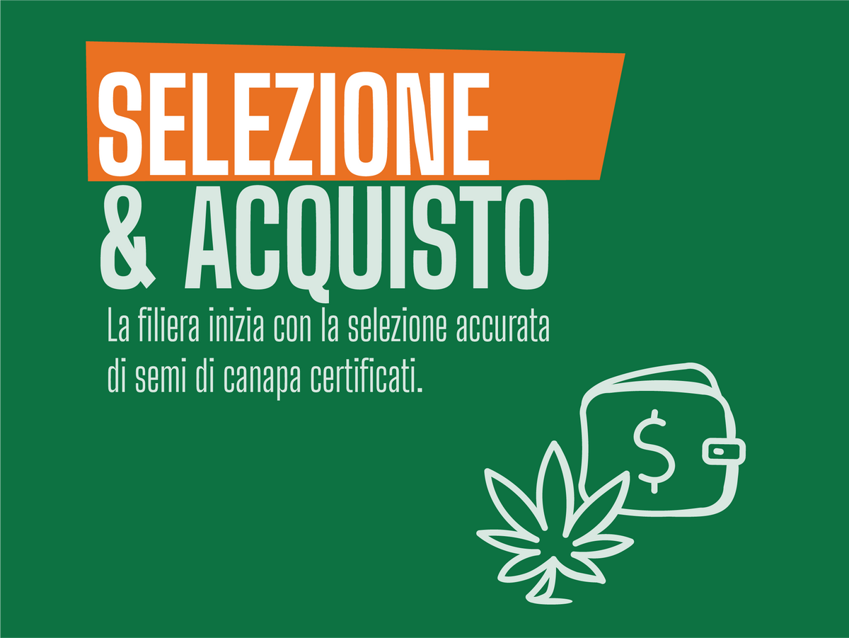 La filiera italiana