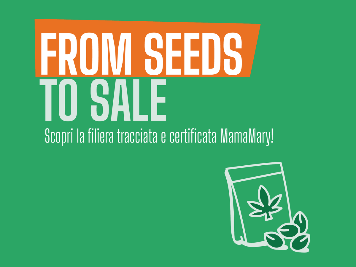 From Seed to Sale
