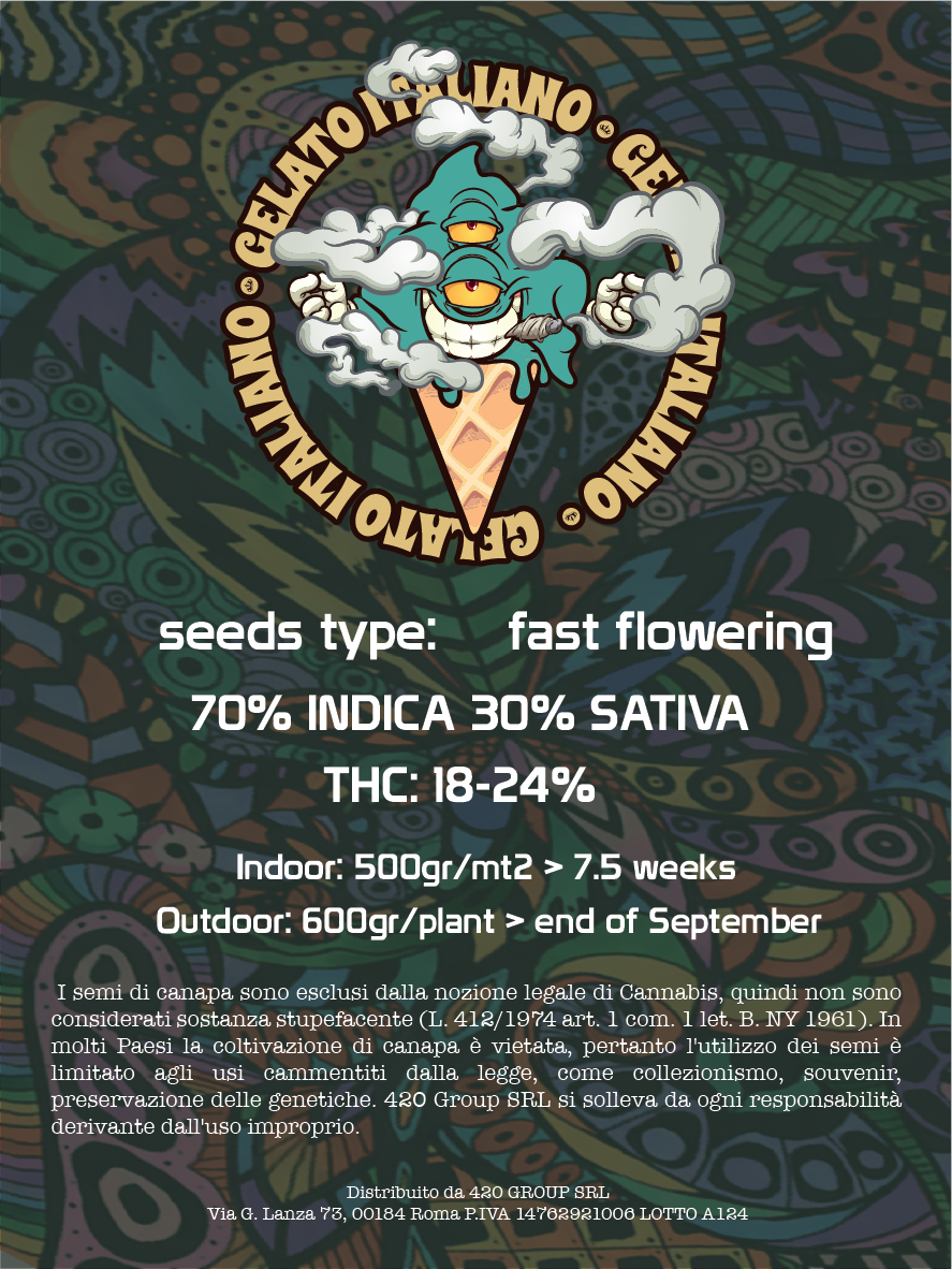 Green Gelato Semi di Cannabis Femminizzati THC Fast Seeds | THC 18-24%  - MamaMary