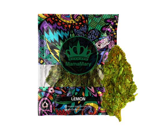 Super Lemon Haze CBD - Cannabis Light | THC < 0.2% CBD > 25%